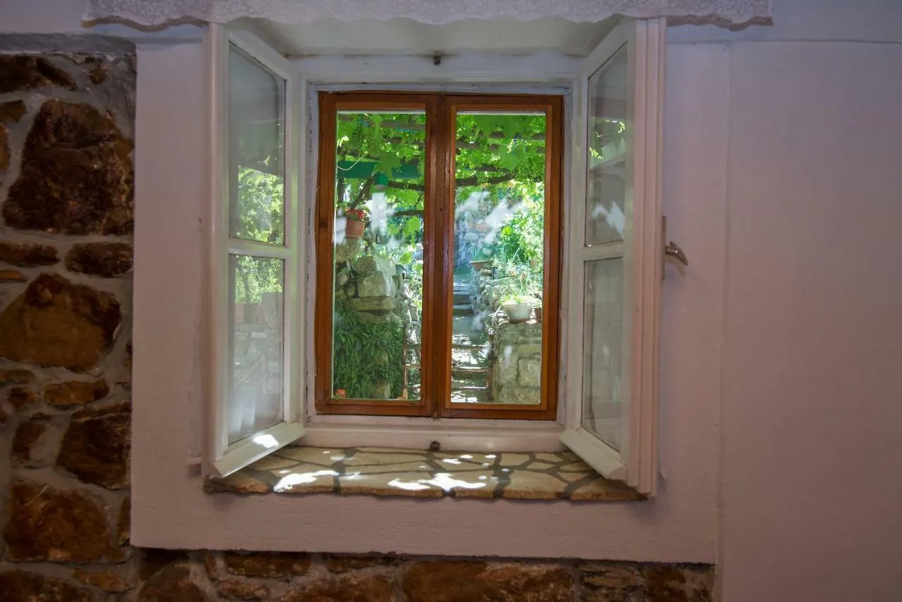Loredana 1 Veli Lošinj 公寓